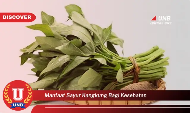 manfaat sayur kangkung bagi kesehatan