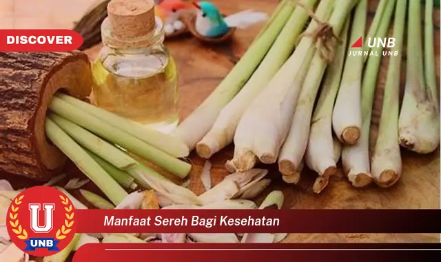 manfaat sereh bagi kesehatan
