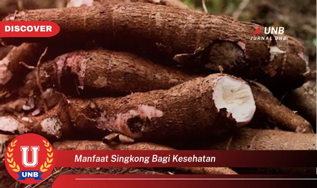 manfaat singkong bagi kesehatan