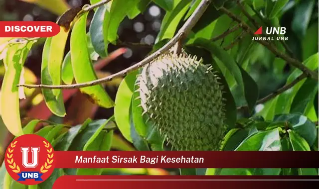 manfaat sirsak bagi kesehatan