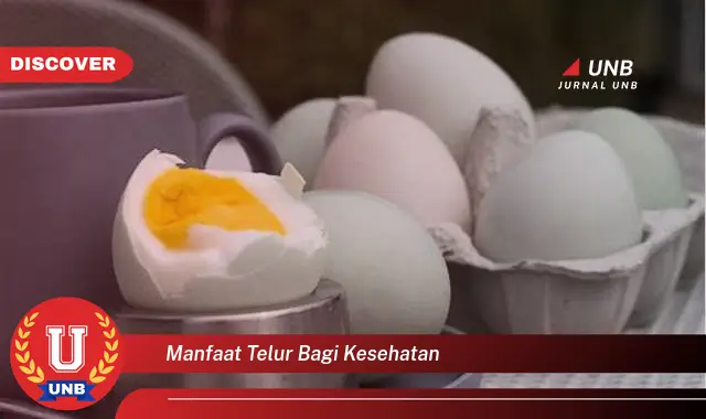 manfaat telur bagi kesehatan