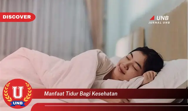 manfaat tidur bagi kesehatan manfaat tidur bagi kesehatan