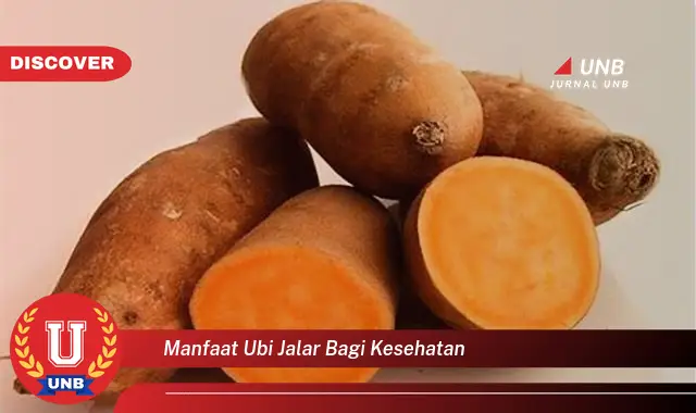 manfaat ubi jalar bagi kesehatan manfaat ubi jalar bagi kesehatan