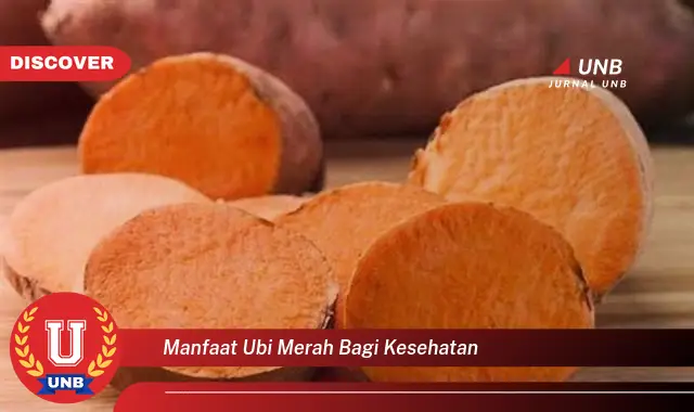 manfaat ubi merah bagi kesehatan