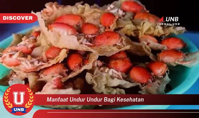 manfaat undur undur bagi kesehatan manfaat undur undur bagi kesehatan