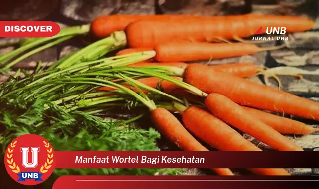 manfaat wortel bagi kesehatan