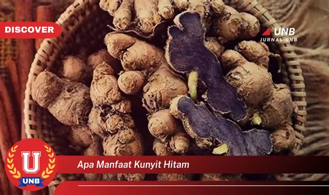 apa manfaat kunyit hitam apa manfaat kunyit hitam