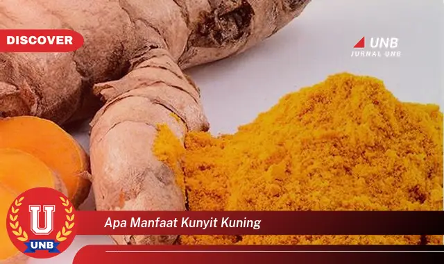 apa manfaat kunyit kuning