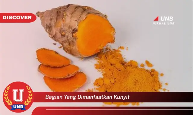 Temukan 6 Manfaat Bagian Kunyit yang Jarang Diketahui