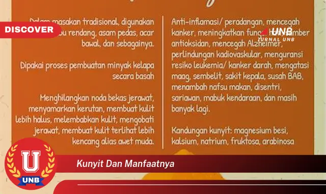 kunyit dan manfaatnya