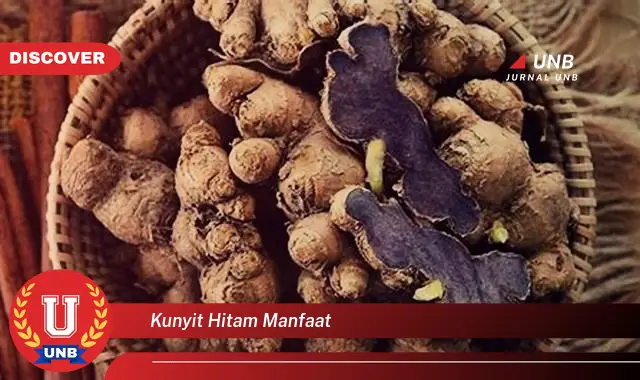kunyit hitam manfaat