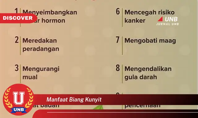 manfaat biang kunyit manfaat biang kunyit