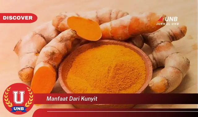 manfaat dari kunyit