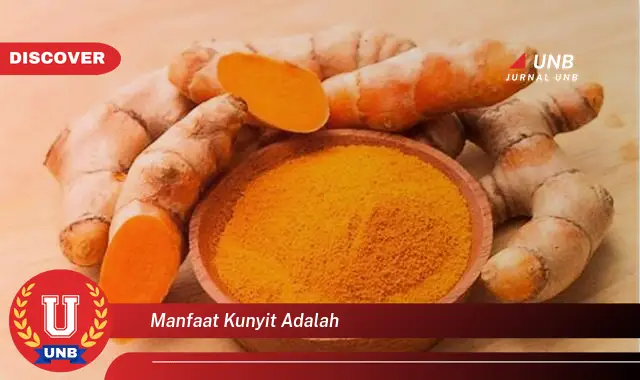 manfaat kunyit adalah