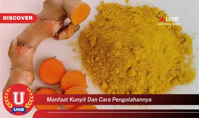 manfaat kunyit dan cara pengolahannya