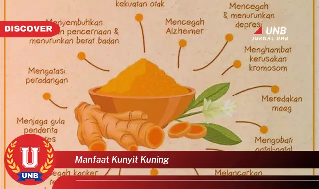manfaat kunyit kuning manfaat kunyit kuning