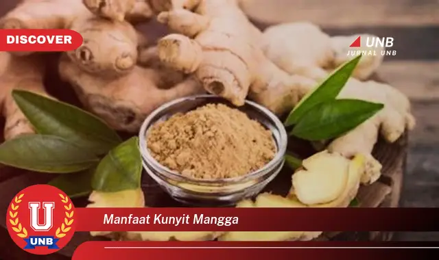 manfaat kunyit mangga