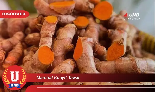 manfaat kunyit tawar
