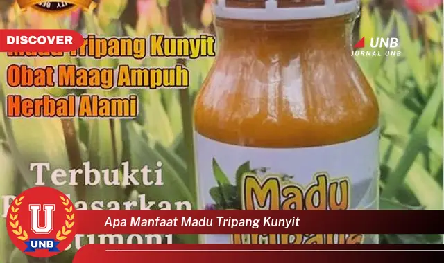apa manfaat madu tripang kunyit apa manfaat madu tripang kunyit