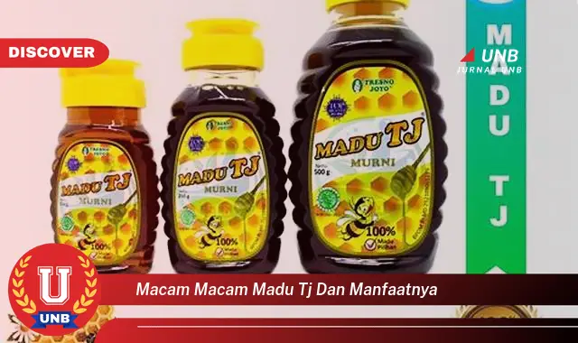 macam macam madu tj dan manfaatnya