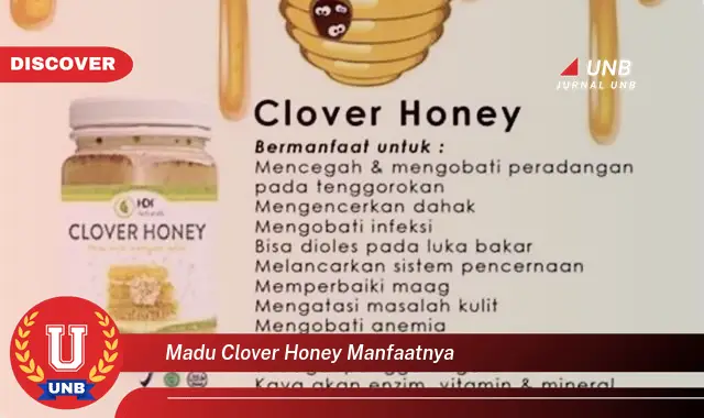 madu clover honey manfaatnya