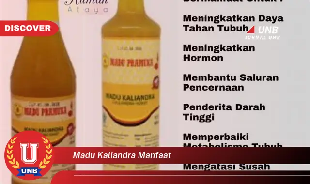 madu kaliandra manfaat