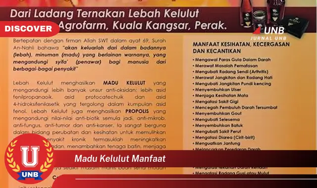 madu kelulut manfaat madu kelulut manfaat