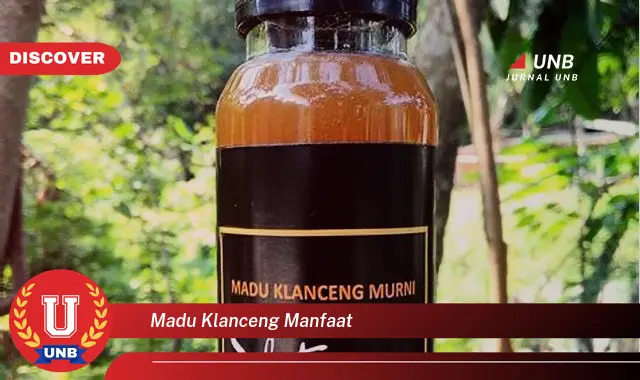 madu klanceng manfaat madu klanceng manfaat