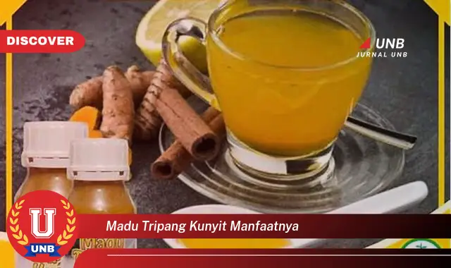 madu tripang kunyit manfaatnya madu tripang kunyit manfaatnya