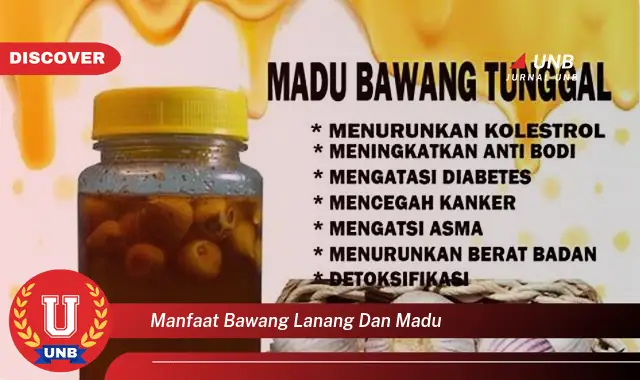 manfaat bawang lanang dan madu