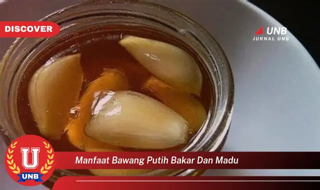 manfaat bawang putih bakar dan madu