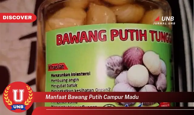 manfaat bawang putih campur madu