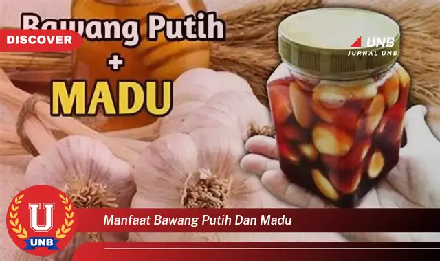 manfaat bawang putih dan madu