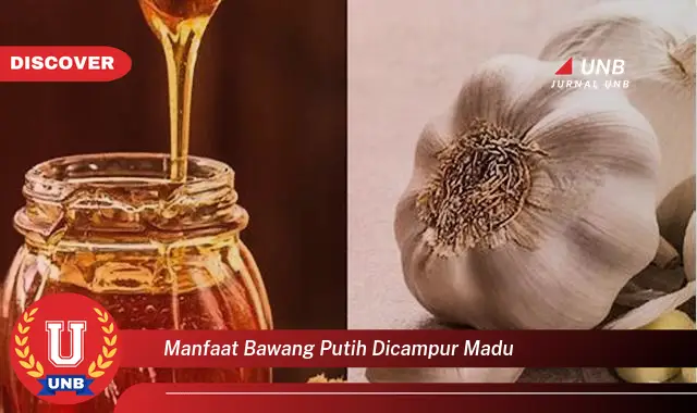 manfaat bawang putih dicampur madu