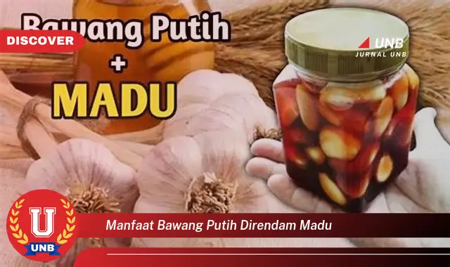 manfaat bawang putih direndam madu