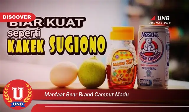 manfaat bear brand campur madu