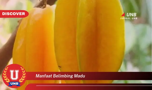 manfaat belimbing madu manfaat belimbing madu