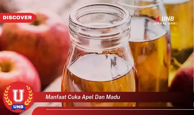 manfaat cuka apel dan madu