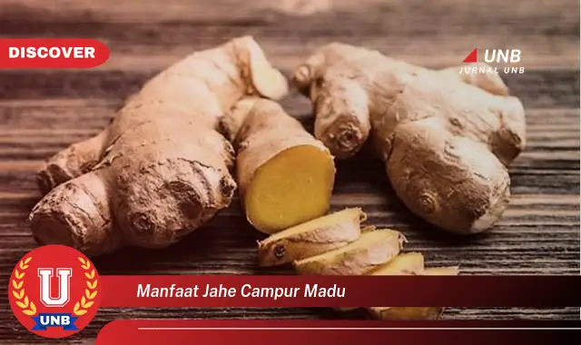 manfaat jahe campur madu manfaat jahe campur madu