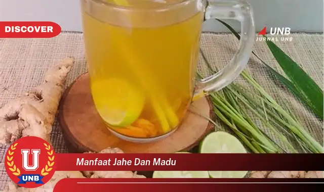 manfaat jahe dan madu manfaat jahe dan madu