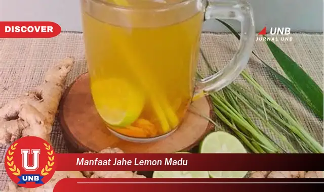 manfaat jahe lemon madu