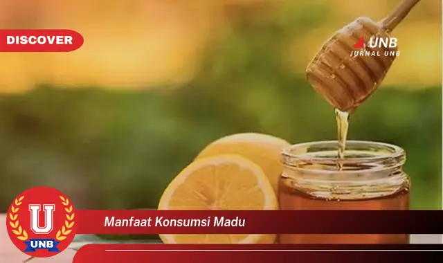manfaat konsumsi madu manfaat konsumsi madu