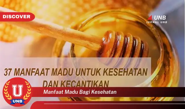 manfaat madu bagi kesehatan manfaat madu bagi kesehatan