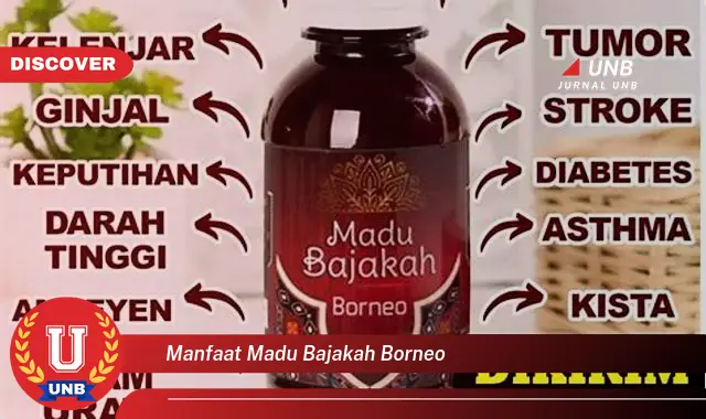 manfaat madu bajakah borneo