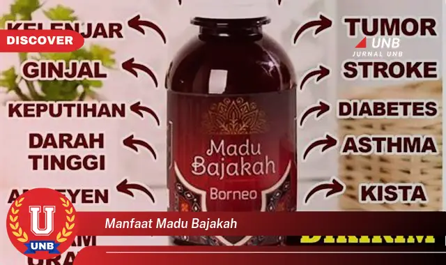 manfaat madu bajakah