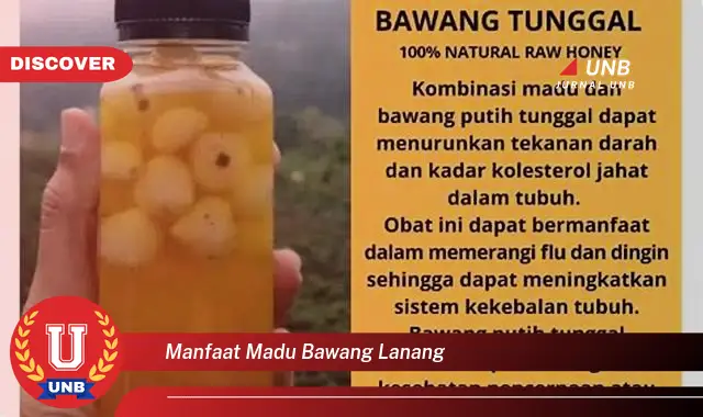 manfaat madu bawang lanang