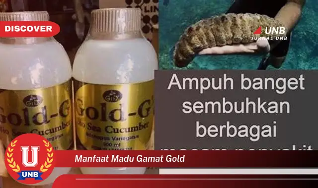 manfaat madu gamat gold