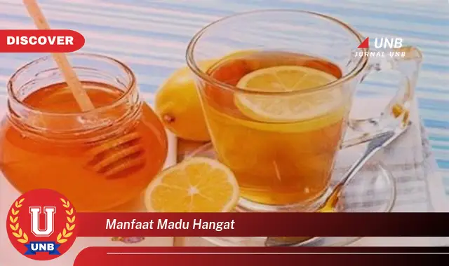 manfaat madu hangat