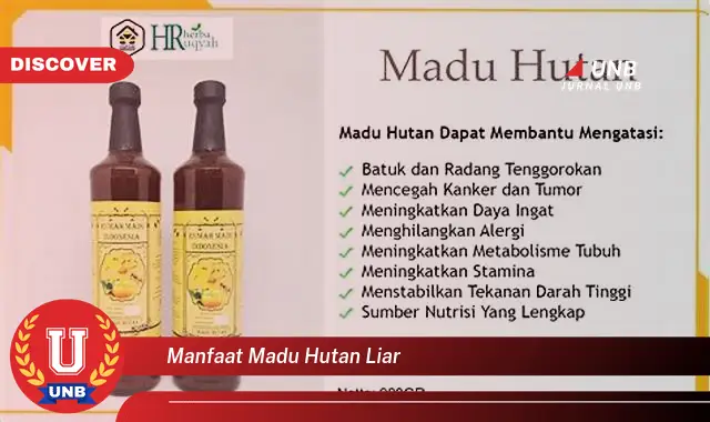 manfaat madu hutan liar