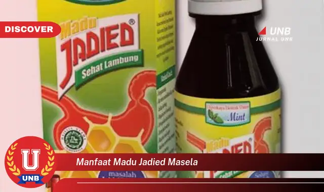 manfaat madu jadied masela manfaat madu jadied masela